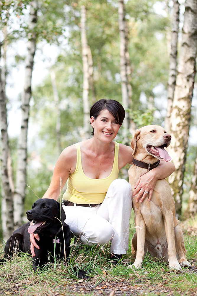 Tierfotos Pferdefotos Hundefotos Katzenfotos