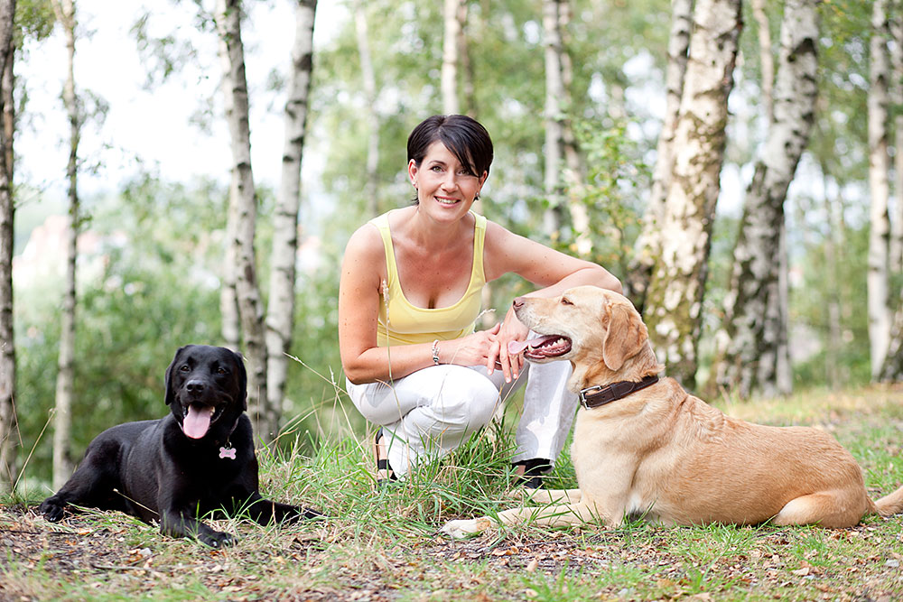 Tierfotos Pferdefotos Hundefotos Katzenfotos
